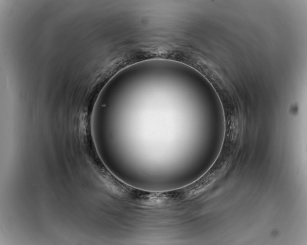 X0000099460612200805091530