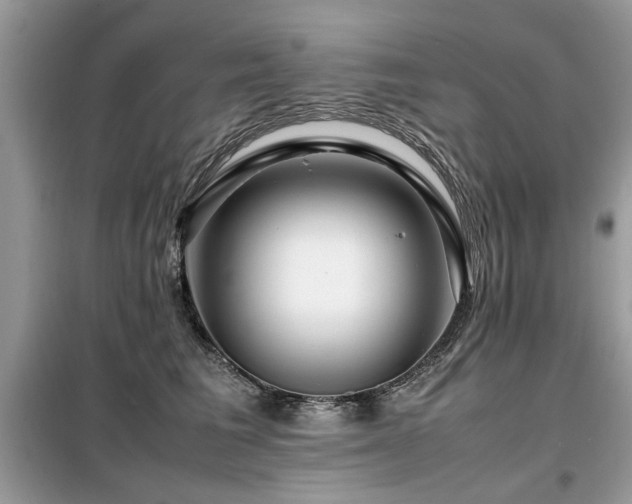 X0000099460613200805091530
