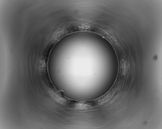 X0000099460614200805091530