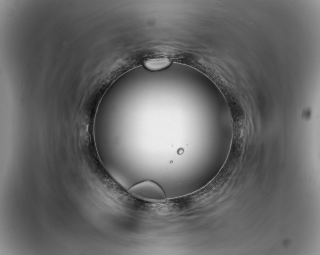 X0000099460615200805091530