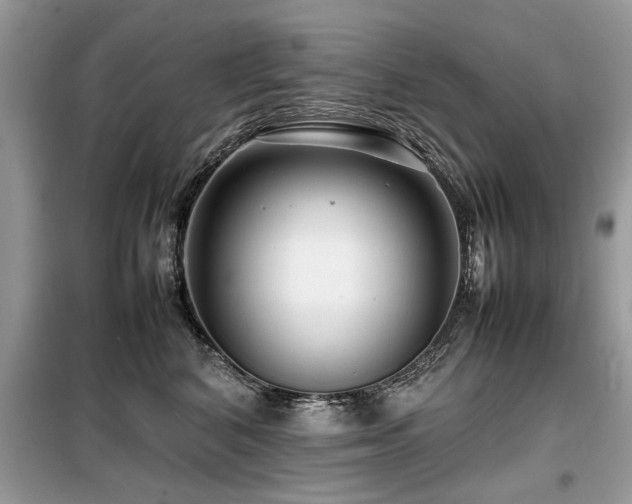 X0000099460616200805091530