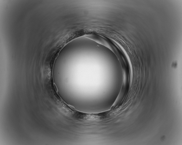 X0000099460617200805091530