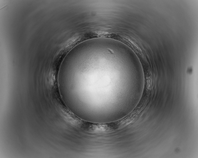 X0000099460618200805091530