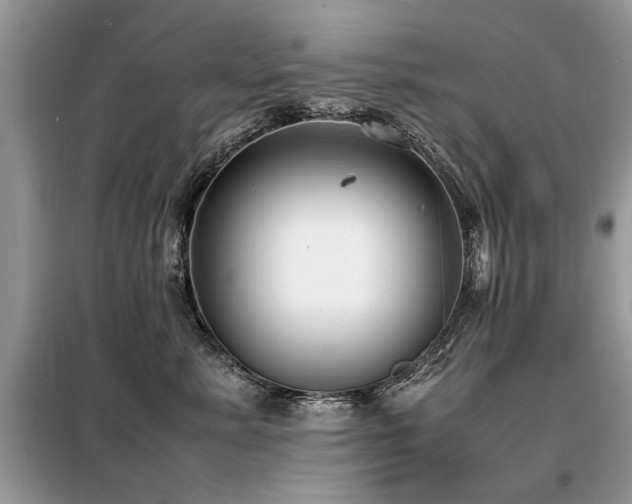 X0000099460619200805091530