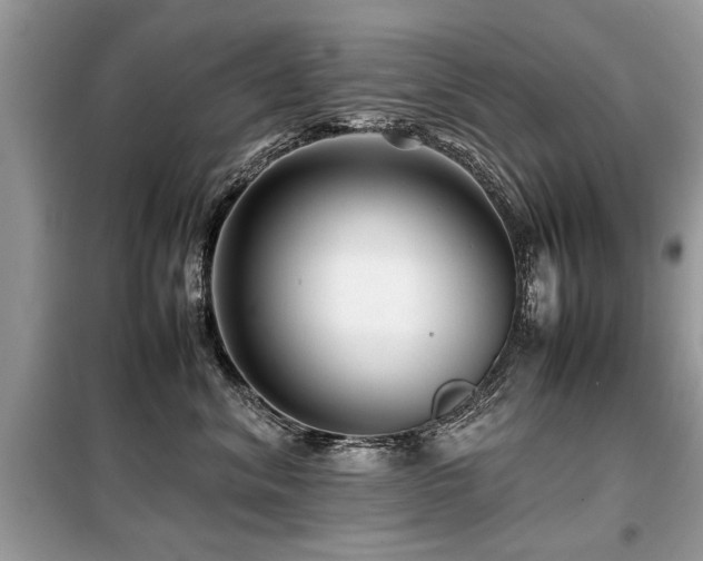 X0000099460620200805091530