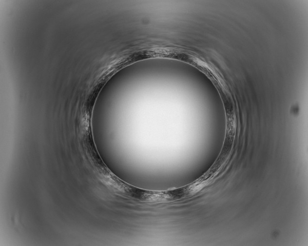 X0000099460621200805091530