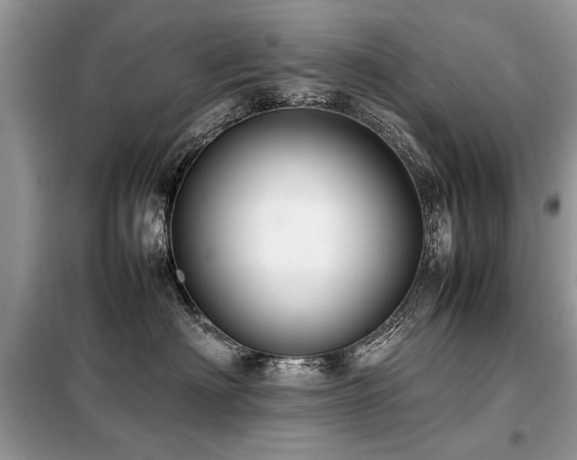 X0000099460622200805091530