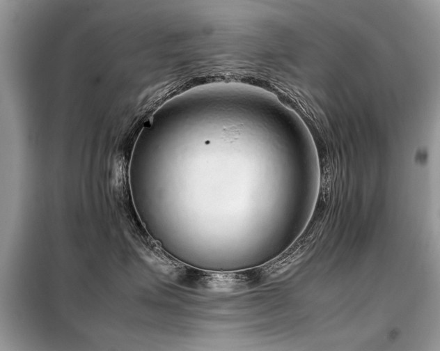 X0000099460623200805091530