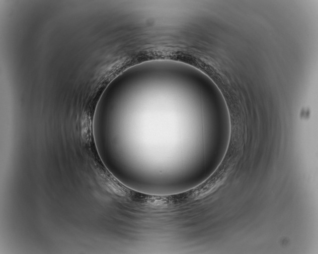X0000099460624200805091530