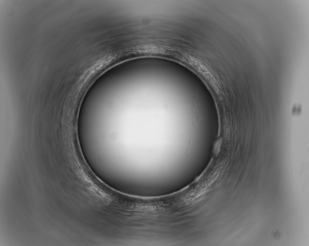 X0000099460625200805091529