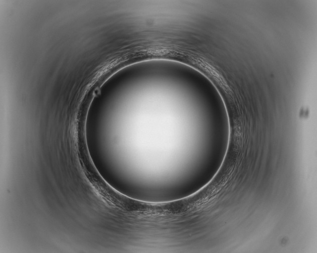 X0000099460626200805091529