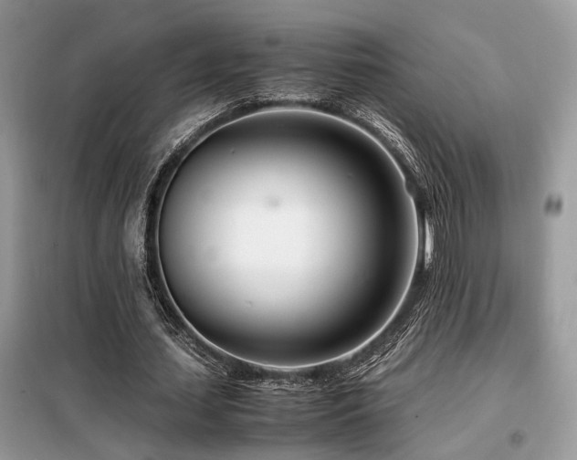X0000099460627200805091529