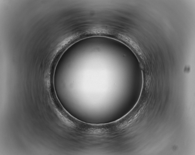 X0000099460629200805091529