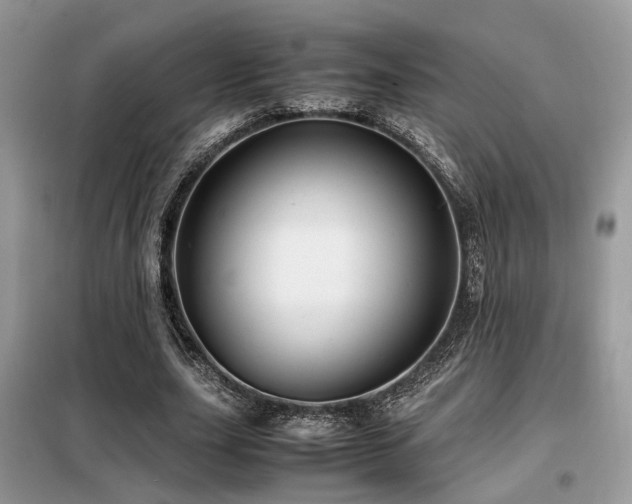 X0000099460631200805091529