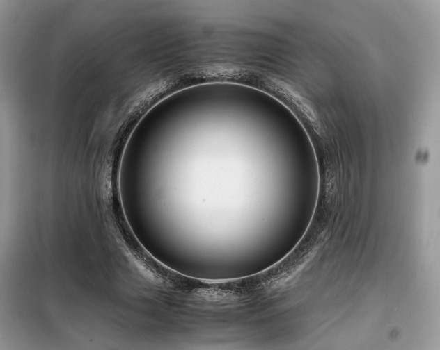 X0000099460633200805091529