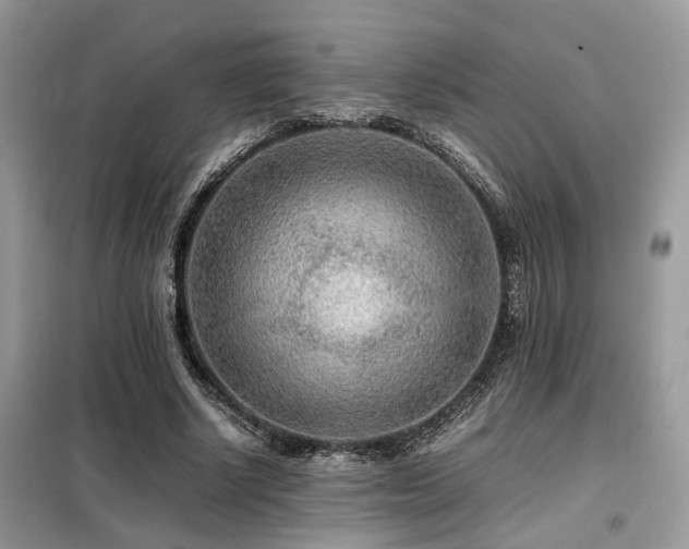 X0000099460634200805091529