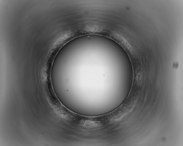 X0000099460635200805091529