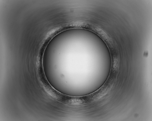 X0000099460636200805091529