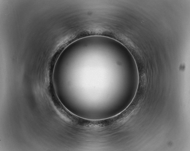 X0000099460638200805091529