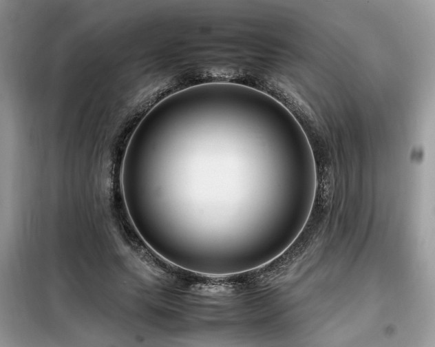X0000099460639200805091529