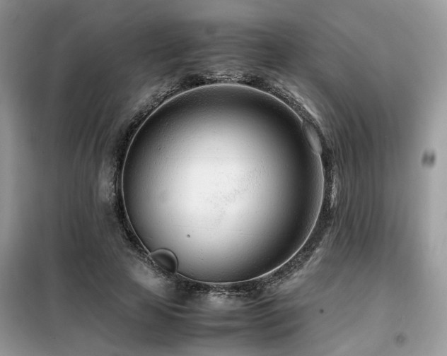 X0000099460641200805091529