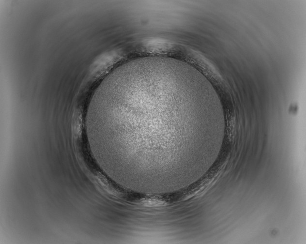 X0000099460644200805091529