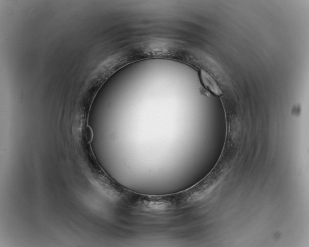 X0000099460645200805091529