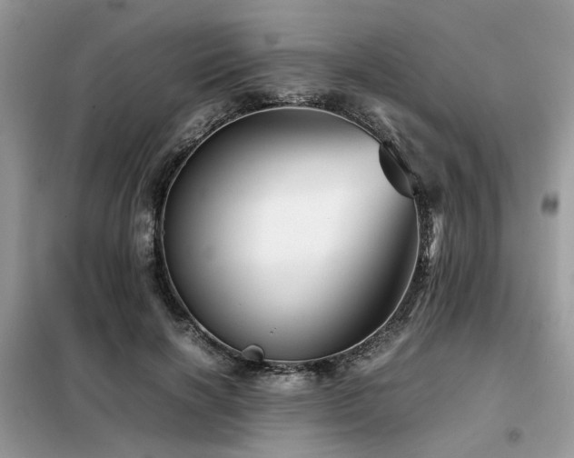 X0000099460646200805091529
