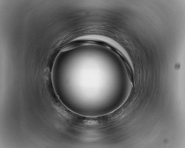 X0000099460649200805091529