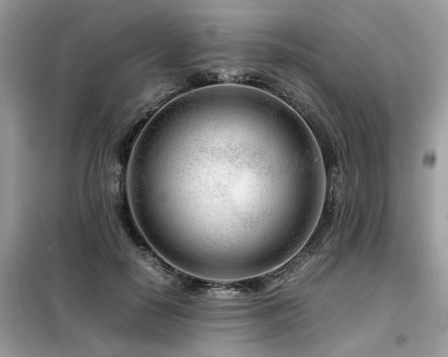 X0000099460650200805091529
