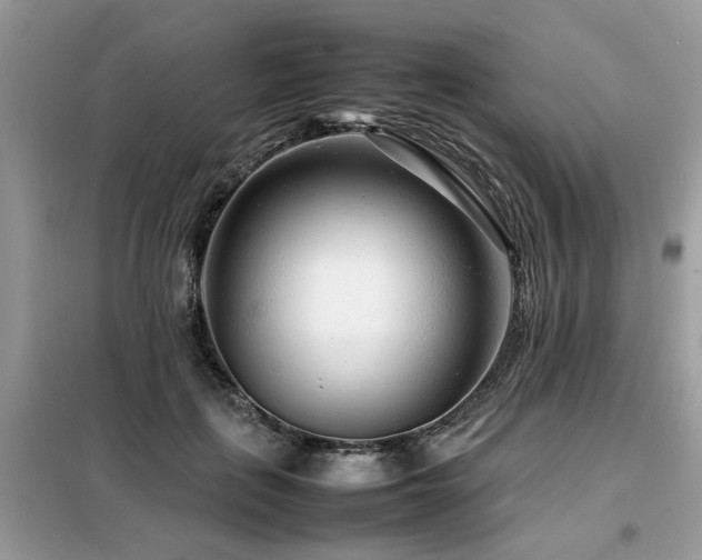 X0000099460651200805091529