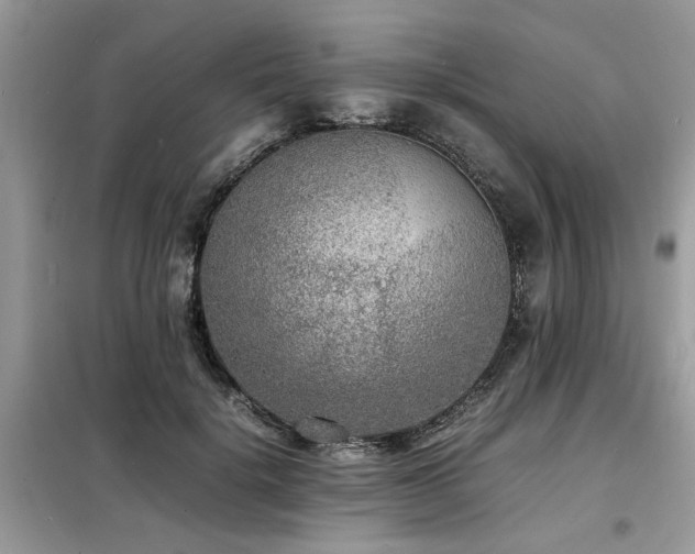 X0000099460652200805091529