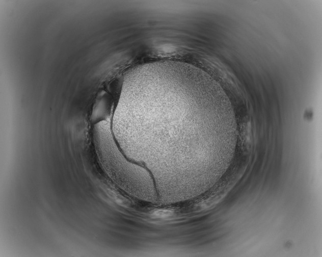 X0000099460653200805091529