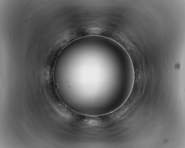 X0000099460655200805091529