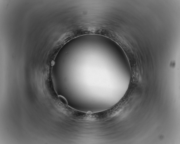 X0000099460656200805091529