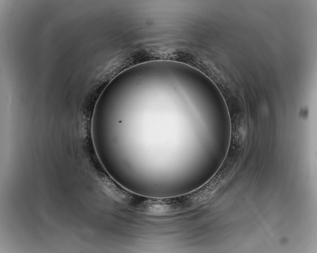 X0000099460658200805091530