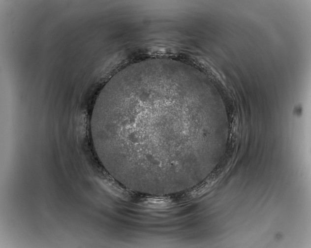 X0000099460659200805091530
