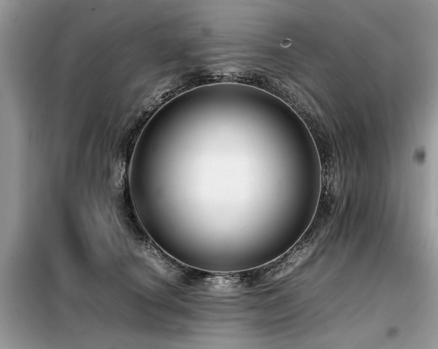 X0000099460660200805091530
