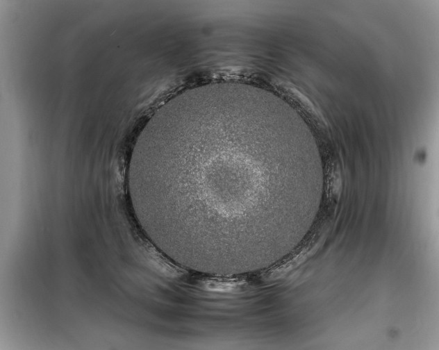 X0000099460661200805091530