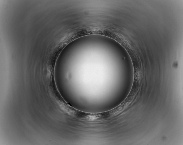 X0000099460662200805091530