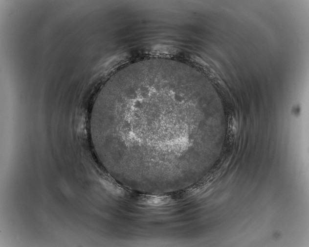 X0000099460663200805091530
