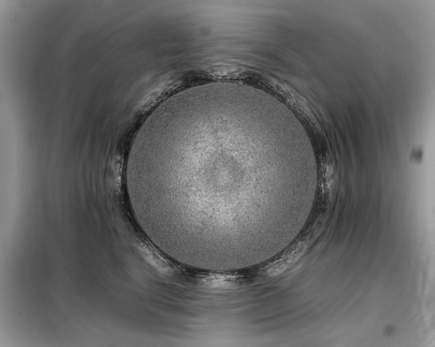 X0000099460664200805091530