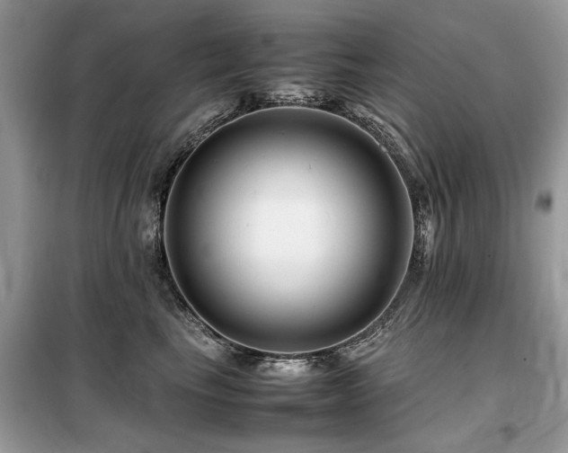 X0000099460665200805091530