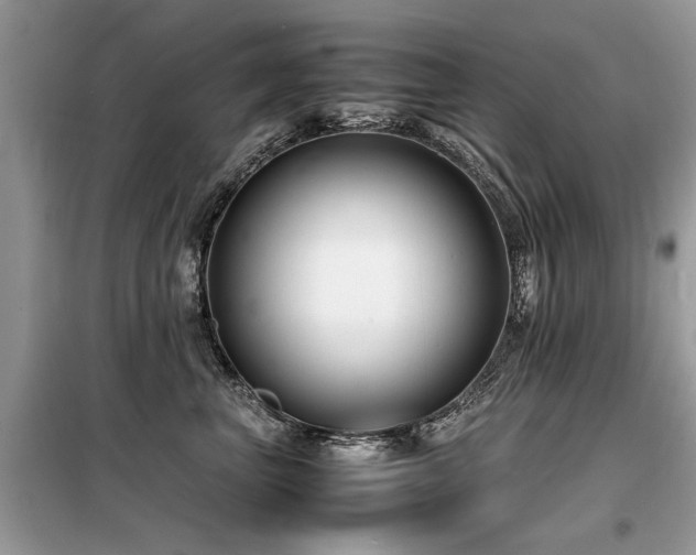 X0000099460667200805091530