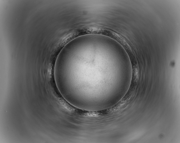 X0000099460668200805091530