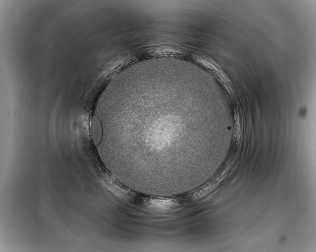 X0000099460669200805091530