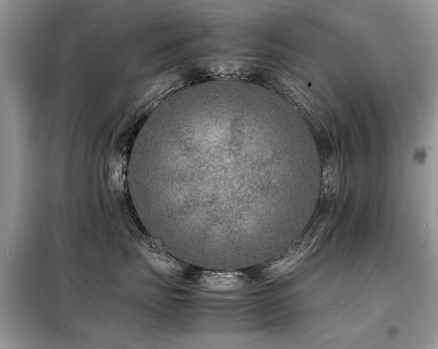 X0000099460671200805091530