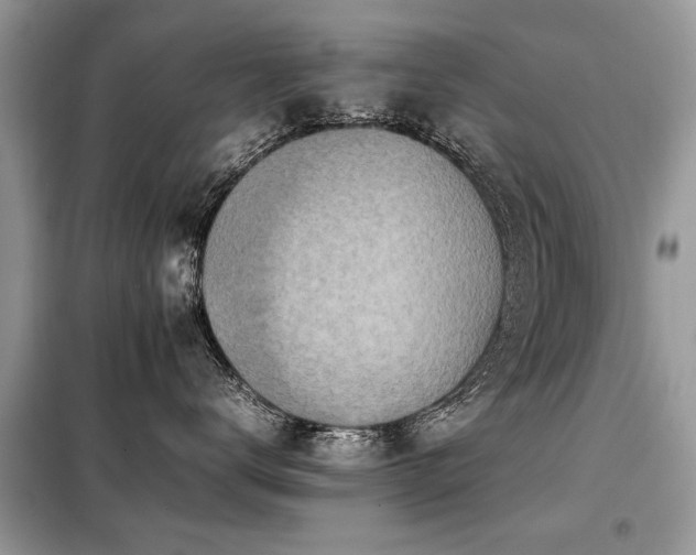 X0000099460672200805091530