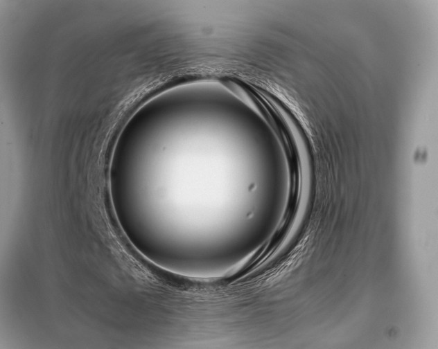 X0000099460673200805091529