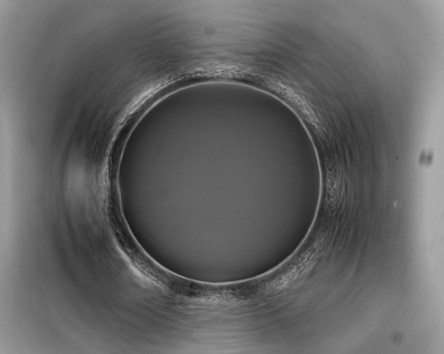 X0000099460674200805091529